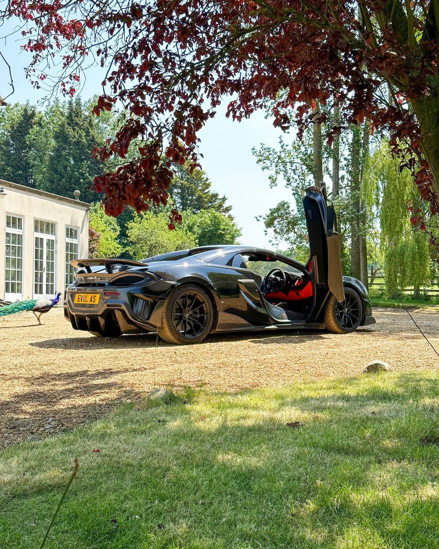 2019 McLaren 600LT