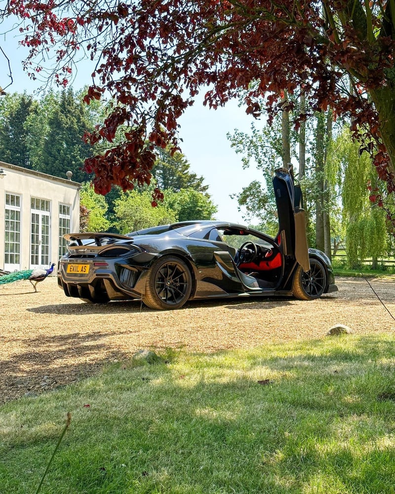 2019 McLaren 600LT